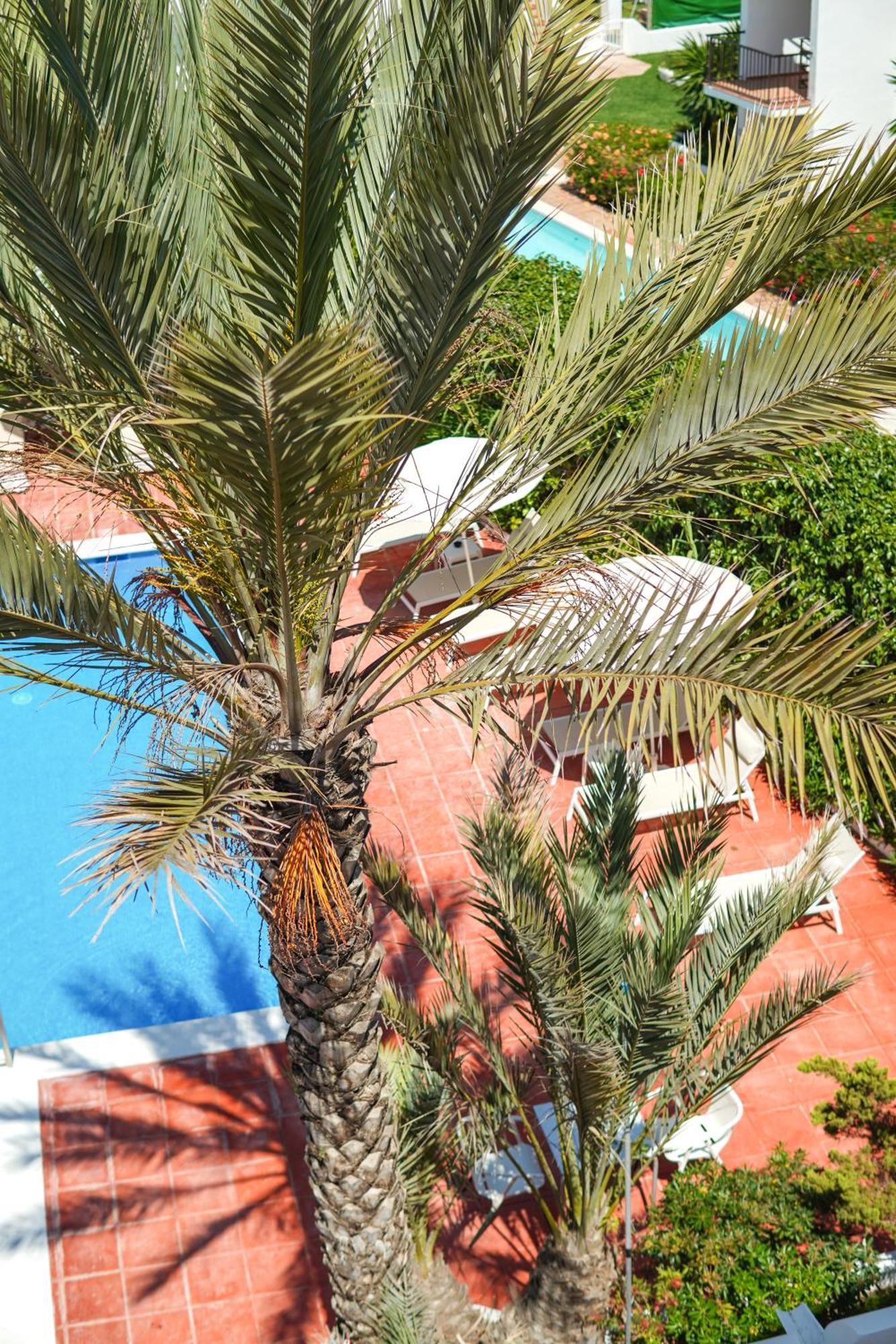 Typic Sandic Apartments Es Cana المظهر الخارجي الصورة